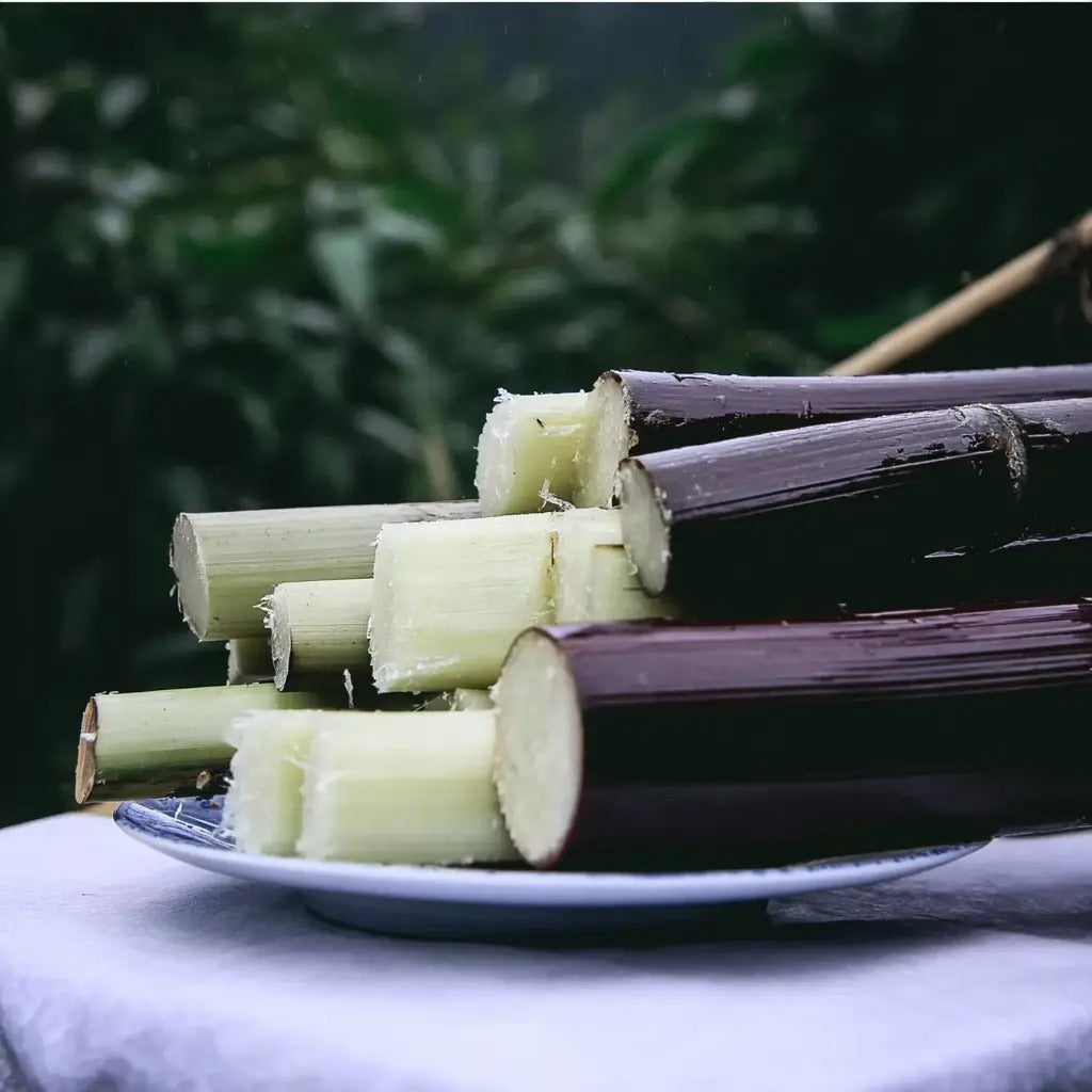 🍯Premium High-Sucrose Sugarcane Seeds | 1000+ Non-GMO Hybrid Sugar Cane Seeds for Home Gardening 🌿🍬