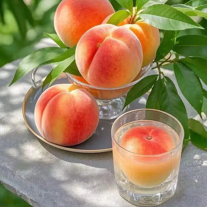 【Verdant.Vitality】Premium Peach Tree Seeds | Grow Your Own Indoor/Outdoor Fruit Tree 🍑🌿