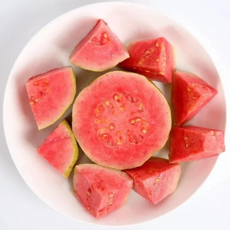 🔥Limited Time Discount🎁Tropical Strawberry Guava Organic Pink Guava Seeds