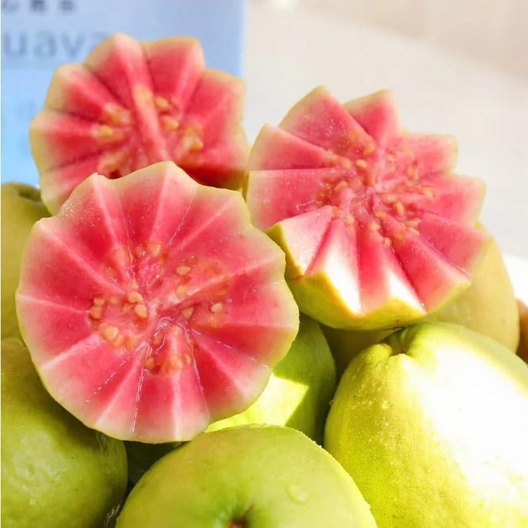 🔥Limited Time Discount🎁Tropical Strawberry Guava Organic Pink Guava Seeds