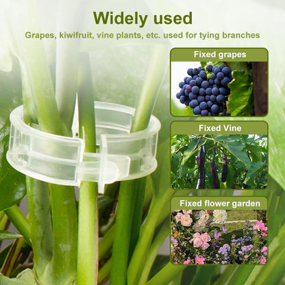 🌱🔥 Reusable Plant Support Clips