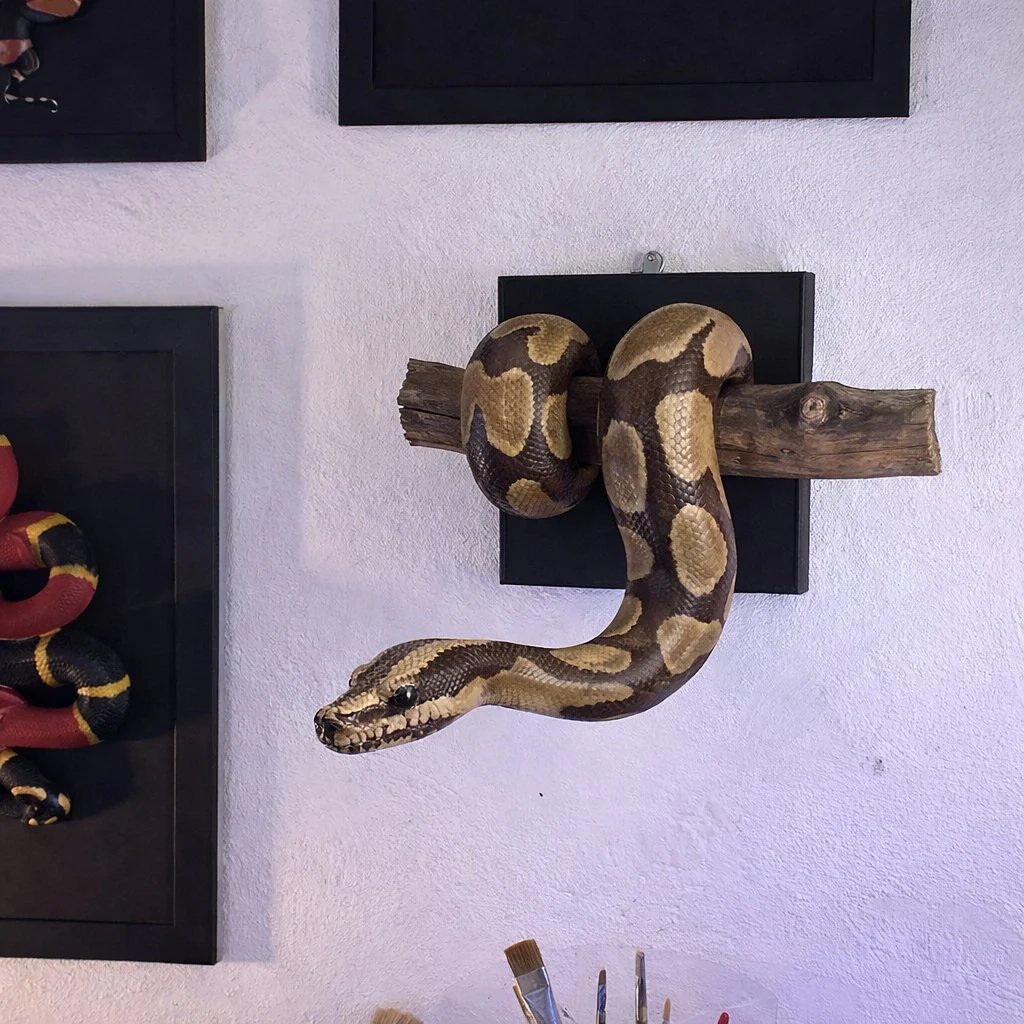 Golden Ball Python Wall Sculpture | Symbol of Strength & Prosperity