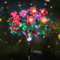 Colored Light
