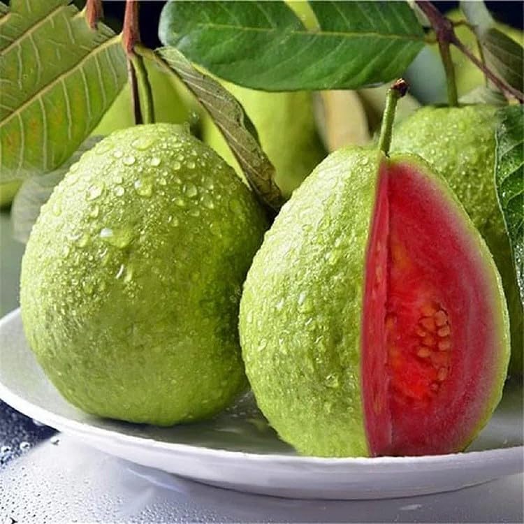 🔥Limited Time Discount🎁Tropical Strawberry Guava Organic Pink Guava Seeds