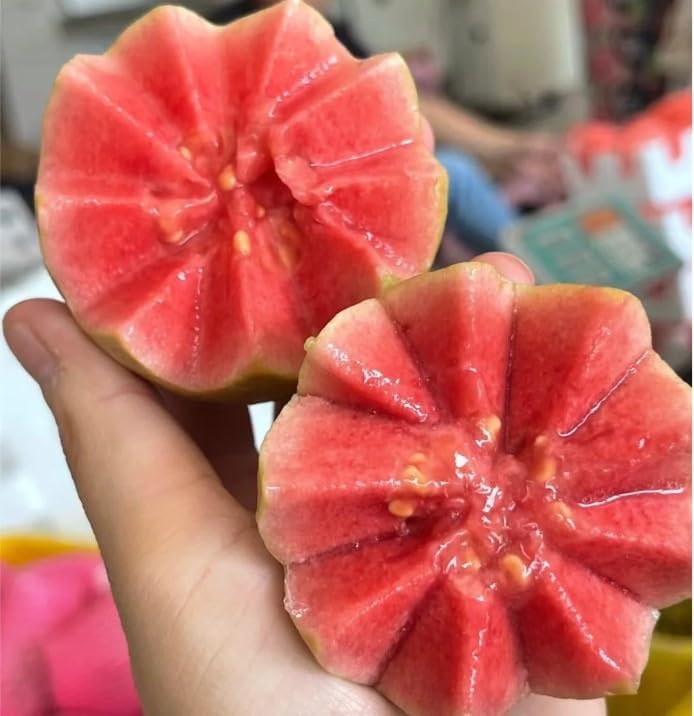 🔥Limited Time Discount🎁Tropical Strawberry Guava Organic Pink Guava Seeds