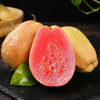 🔥Limited Time Discount🎁Tropical Strawberry Guava Organic Pink Guava Seeds