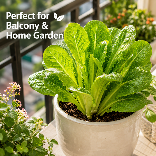 Grow once, harvest for months! The ultimate cut-and-come-again veggie! ⚡-QZZ