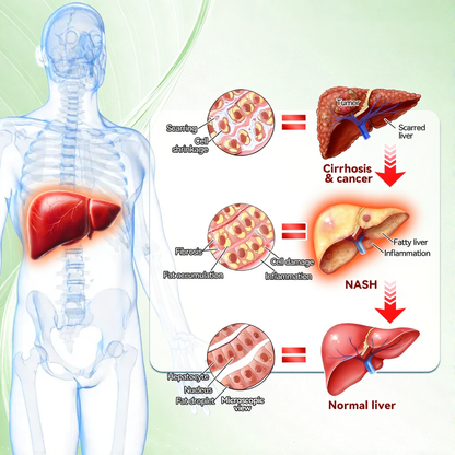 💖💖 AGELESSORY® 𝙈𝒐𝒓𝒊𝒏𝒈𝗮 · 𝗕𝗲𝗿𝗯𝐞𝐫𝐢𝐧𝙚 × 𝙉𝑨𝑫+ 𝟏𝟎-𝙞𝙣-𝟏 𝘼𝒅𝒗𝒂𝒏𝒄𝒆𝐝 𝐍𝐚𝐧𝙤 𝙈𝙞𝙘𝙧𝙤𝙣𝒆𝒆𝒅𝒍𝐞 𝐏𝐚𝐭𝙘𝙝(𝐉𝐮𝐬𝐭 𝐨𝐧𝐜𝐞 𝐚 𝐝𝐚𝐲, 𝐯𝐢𝐬𝐢𝐛𝐥𝐞 𝐜𝐡𝐚𝐧𝐠𝐞𝐬 𝐢𝐧 𝟕 𝐝𝐚𝐲𝐬） ✅ 𝐅𝐨𝐫 𝐨𝐛𝐞𝐬𝐢𝐭𝐲, 🅛🅞🅞🅢🅔 🅢🅚🅘🅝,𝐝𝐢𝐚𝐛𝐞𝐭𝐞𝐬, 𝐬𝐥𝐞𝐞𝐩 𝐚𝐩𝐧𝐞𝐚, 𝐣𝐨𝐢𝐧𝐭 𝐢𝐬𝐬𝐮𝐞𝐬, 𝐚𝐧𝐝 𝐦𝐨𝐫𝐞🗽
